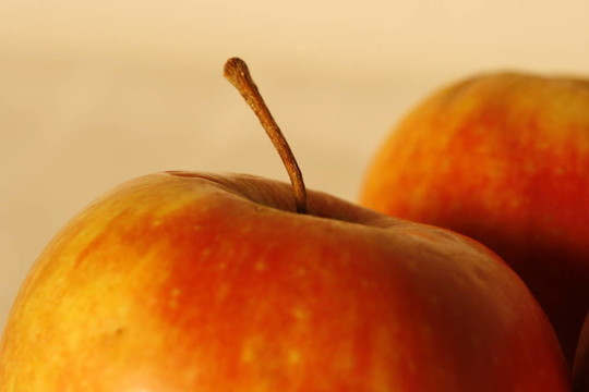 在桌子上的一個(gè)applestick蘋果