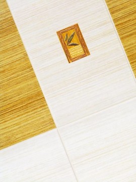 詳細(xì)的瓷磚