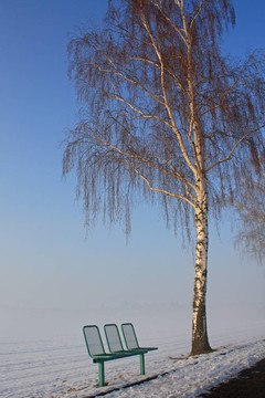 霧場(chǎng)