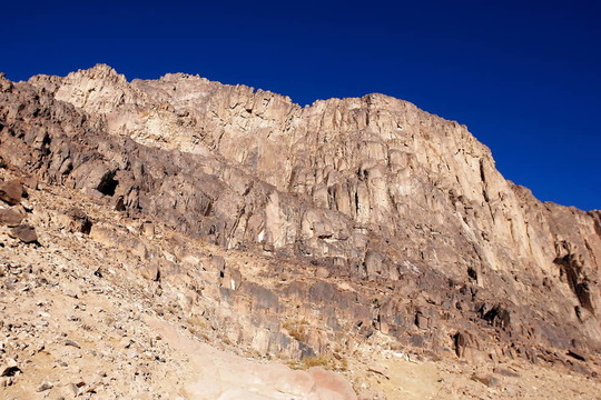 西奈山