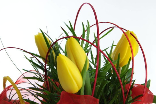 黃色的郁金香花束