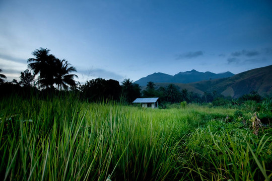 熱帶山地小屋