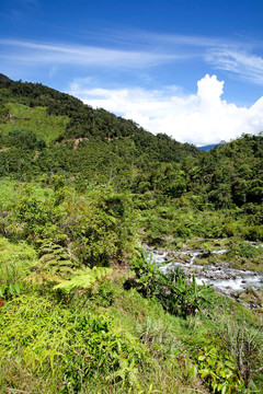 熱帶山地景觀