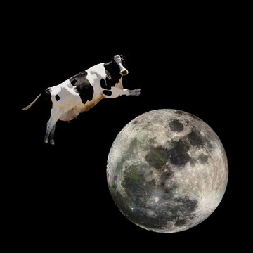 牛跳Moon