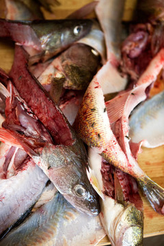 Fish Guts的細(xì)節(jié)