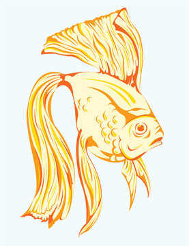 水中的金魚