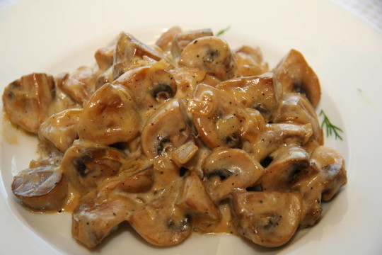 蘑菇