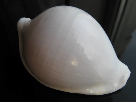 海建筑