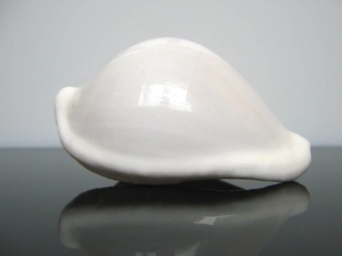 海建筑