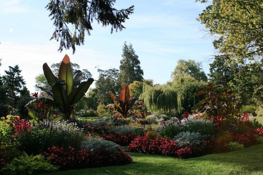 Victoria熱帶花園