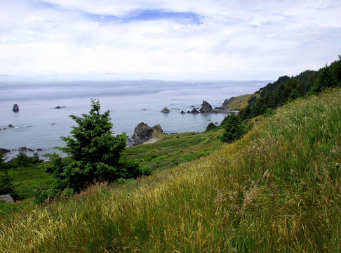 長滿草的山坡和霧堤