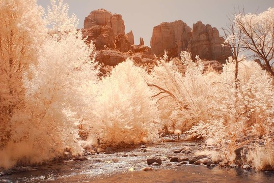 沙漠里的河