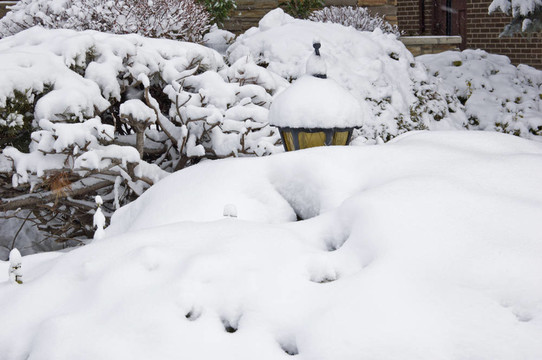 街上的雪