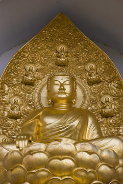 金佛像