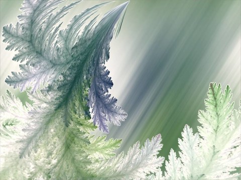 羽毛狀紋理；光摘要