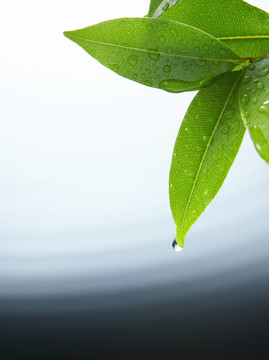 水滴