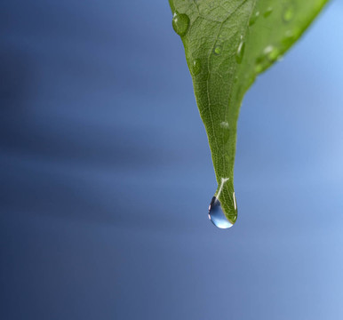 水滴