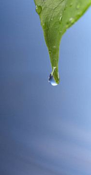 水滴