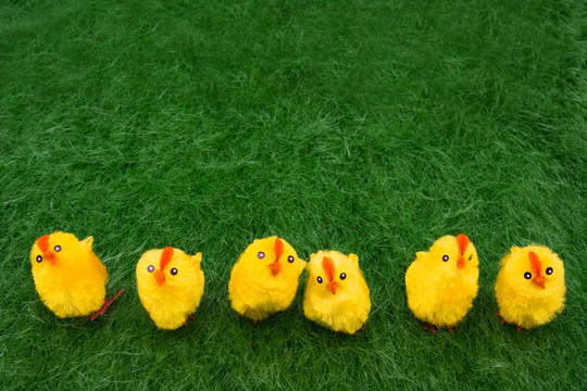 春雞