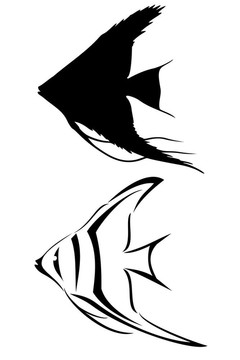 神仙魚
