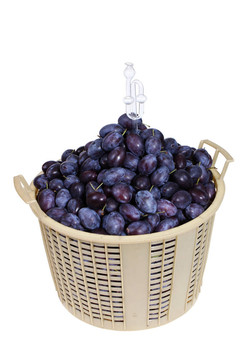 李子在籃子里