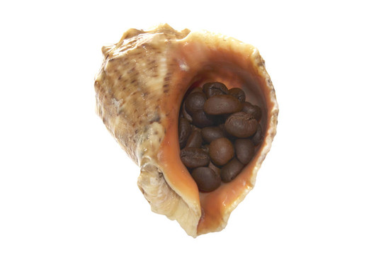 小船由GRA