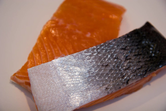 新鮮鮭魚(yú)
