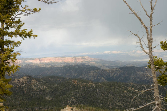 旅游Bryce Canyon