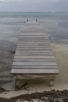 小木碼頭和海灣水域
