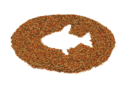 寵物魚食