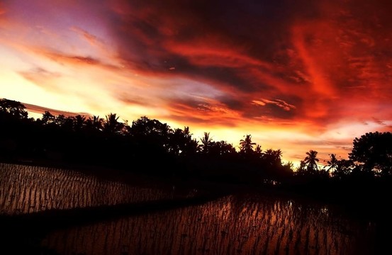 燃燒的天空
