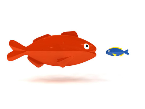 紅色的魚