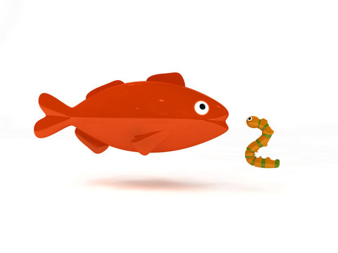 紅的魚(yú)和一只小蟲(chóng)子