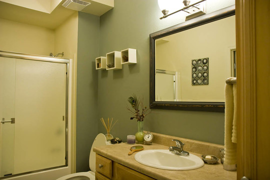 格林和Brown Bathroom