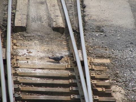 鐵路軌道