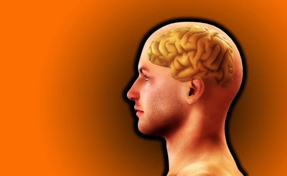 人與腦7