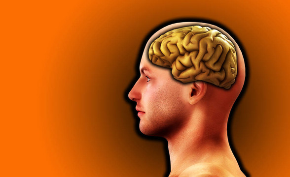 人與腦18