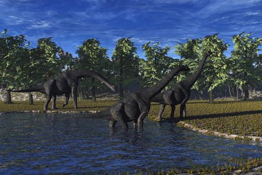 Brachiosaurus Dinosaur
