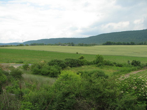 景觀(guān)
