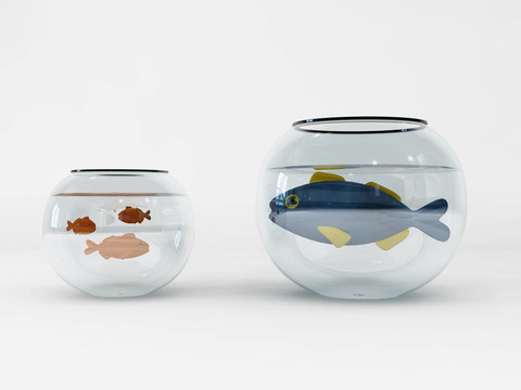 魚和碗