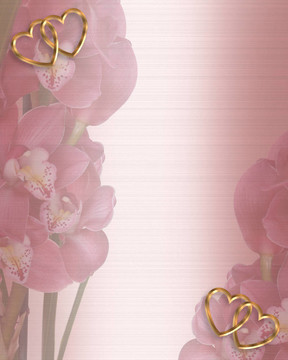 蘭花花卉邀請(qǐng)邊界