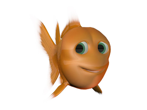 金魚在白色背景下的微笑