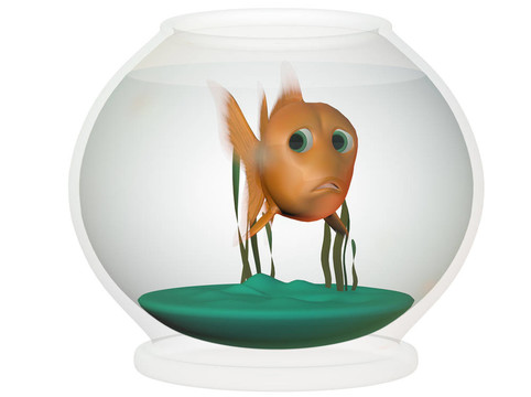 金魚