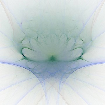 纖細(xì)的花朵摘要