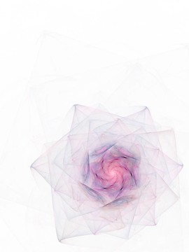 White螺旋花瓣
