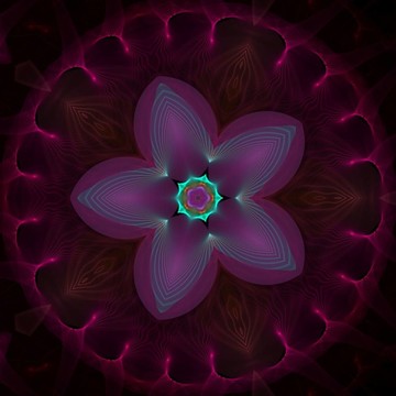 星星花