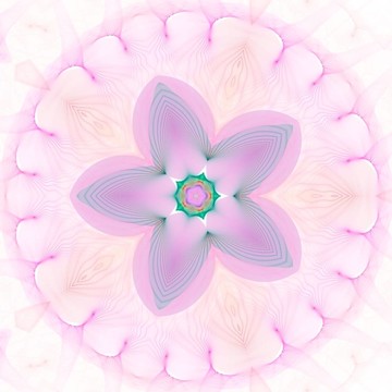 星花抗白
