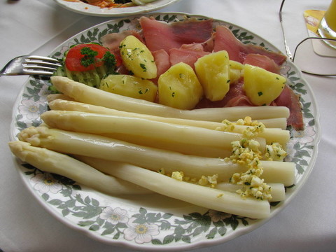 埃森麻省理工學(xué)院spargel；食品