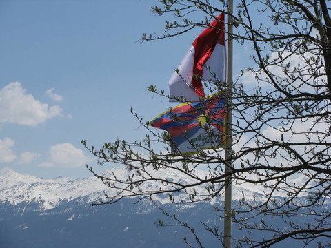 Tibetflagge und Aeste