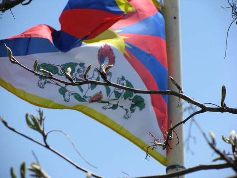 Tibetflagge und Aeste